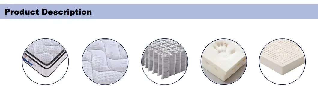 5 Zoned Single Full Queen King Size Euro Top Pocket Spring Coil Bed Latex Memory Foam Mattresses Roll Packing Amazon Hotsale Medical Orthopedic Spine Mattress