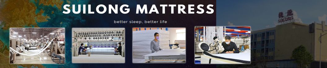 Euro Top Design Latex and Memory Foam Pocket Spring in 3 Zones Rolled Mattress
