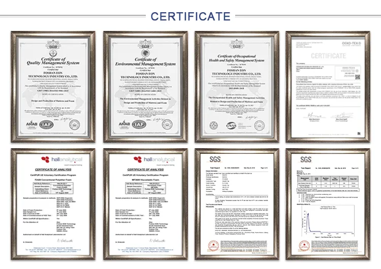 High Quality Oblong School Foam Pillow with Carton Box Packed