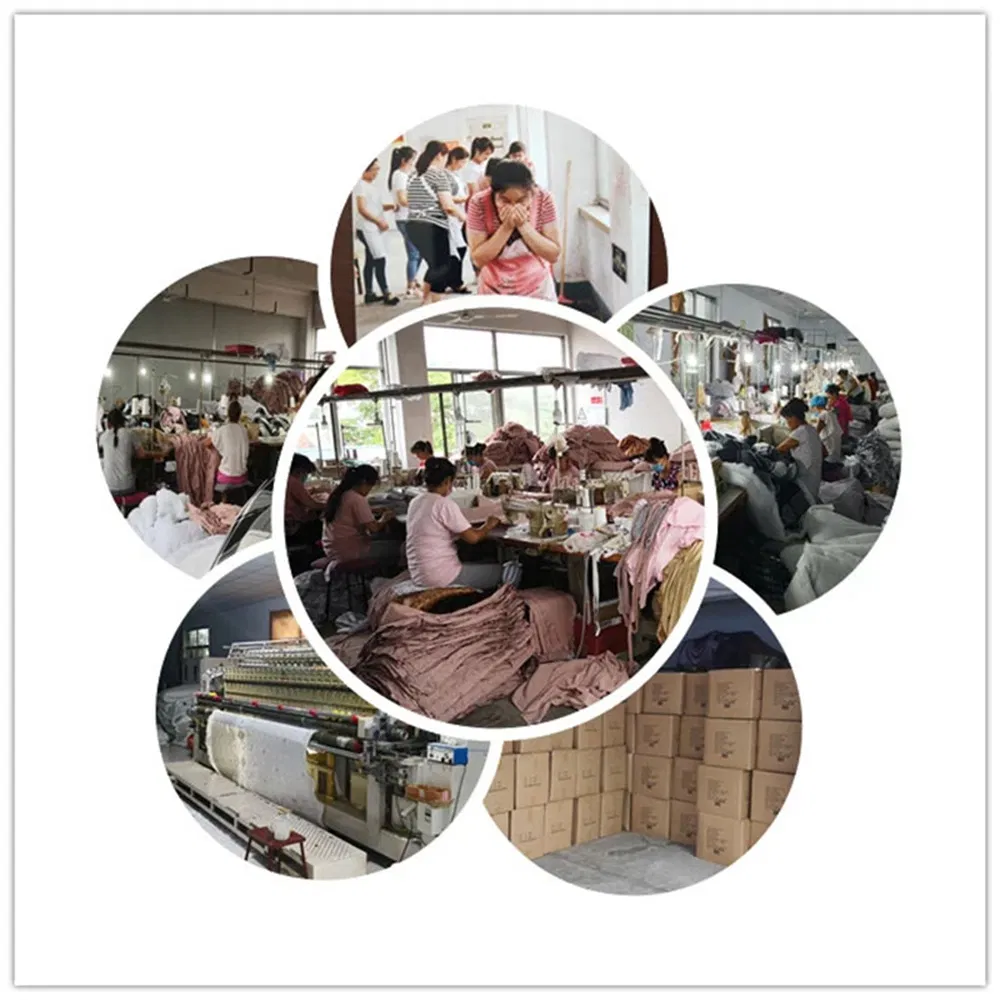 Modern Style 4 PCS Cotton Bed Sheet Printed Bedding Comforter Bed Sheet Bedding Sheet Set