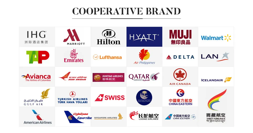 Polyester RPET Recyclable Fleece Blanket for Airplane with Grs Certificate